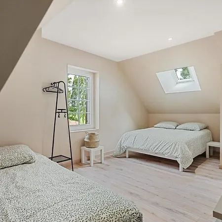 De France - Les Palmiers Du Graindor Breaute